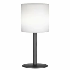 FHL easy Éclairage Led|Lampe solaires Lesina LED Noir, 1 lumière, Télécommandes, Changeur de couleurs