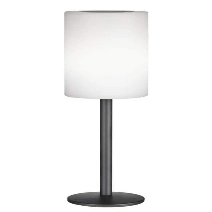 FHL easy Éclairage Led|Lampe solaires Lesina LED Noir, 1 lumière, Télécommandes, Changeur de couleurs