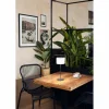 FHL easy Éclairage Led|Lampe solaires Pino LED Noir, 1 lumière, Télécommandes, Changeur de couleurs
