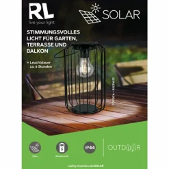 Lampe solaires Reality Cotoca LED Noir, 1 lumière