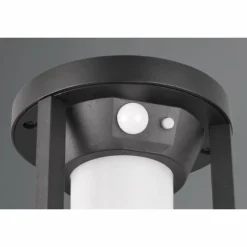Lampe solaires Trio Carmo LED Noir, 1 lumière, Détecteur de mouvement