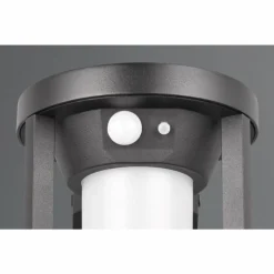 Lampe solaires Trio Carmo LED Noir, 1 lumière, Détecteur de mouvement