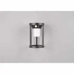 Lampe solaires Trio Carmo LED Noir, 1 lumière, Détecteur de mouvement