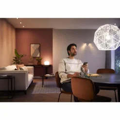 LED E27 6 Watt 2200 - 6500 Kelvin 570 Lumen Philips Hue White Ambiance