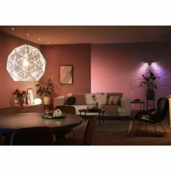 LED E27 9 Watt 2200 - 6500 Kelvin 806 Lumen Philips Hue White & Color Ambiance