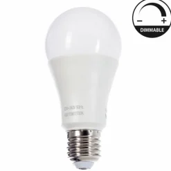 LED E27 10W 2700 Kelvin 800 Lumen