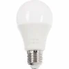 LED E27 10W 2700 Kelvin 800 Lumen