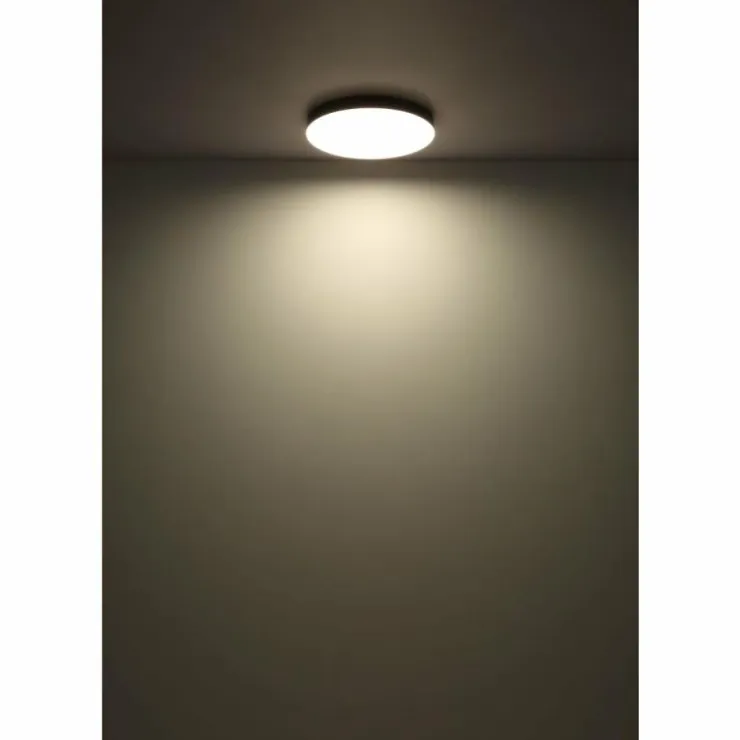Luminaires Globo Lighting Éclairage Led|Matthew Plafonnier LED Blanc, 1 lumière