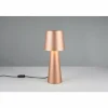 Luminaires Trio Lampes À Poser|Nubian Lampe à poser Brun, 1 lumière