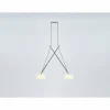Luminaires Serien Lighting Suspensions|Pendelleuchte Suspension Chrome, 2 lumières