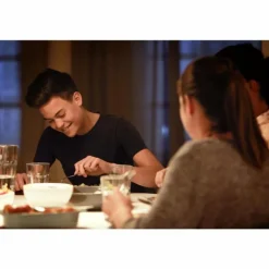 Philips LED E27 10,5 watt 2700 kelvin 1055 lumen