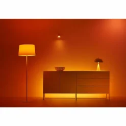 Philips WiZ LED E27 18,5 watt 2200-6500 kelvin 2452 lumen