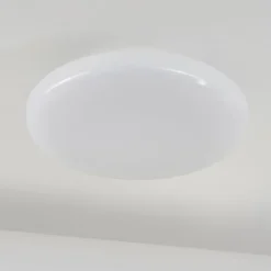 Plafonnier Ral LED Argenté, Blanc, 1 lumière, Télécommandes, Changeur de couleurs