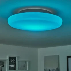 Plafonnier Ral LED Argenté, Blanc, 1 lumière, Télécommandes, Changeur de couleurs