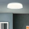 Plafonnier Brilliant Leanna LED Blanc, 1 lumière, Télécommandes, Changeur de couleurs