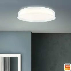 Plafonnier Brilliant Leanna LED Blanc, 1 lumière, Télécommandes, Changeur de couleurs