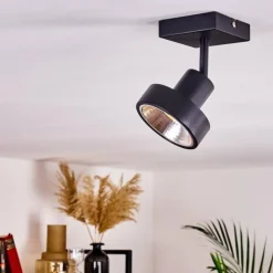 hofstein Spots Et Projecteurs|Plafonnier Chagres Noir, 1 lumière