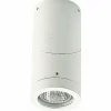 Plafonnier d'extérieur Albert 2138 Blanc, 1 lumière