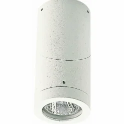 Plafonnier d'extérieur Albert 2138 Blanc, 1 lumière