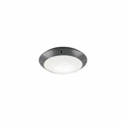 Plafonnier d'extérieur Reality CAMARO Anthracite, 1 lumière