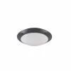 Plafonnier d'extérieur Reality CAMARO Anthracite, 2 lumières