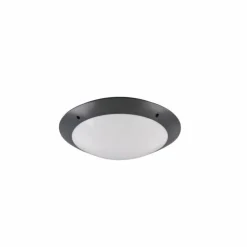 Plafonnier d'extérieur Reality CAMARO Anthracite, 2 lumières