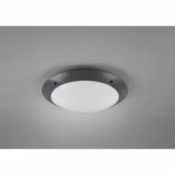 Plafonnier d'extérieur Reality CAMARO Anthracite, 2 lumières