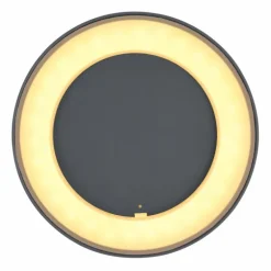 plafonnier extérieur Globo SURA LED Anthracite, 1 lumière