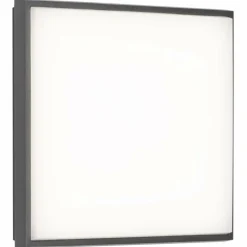 Plafonnier extérieur LCD TYP 5060 LED Noir, 1 lumière