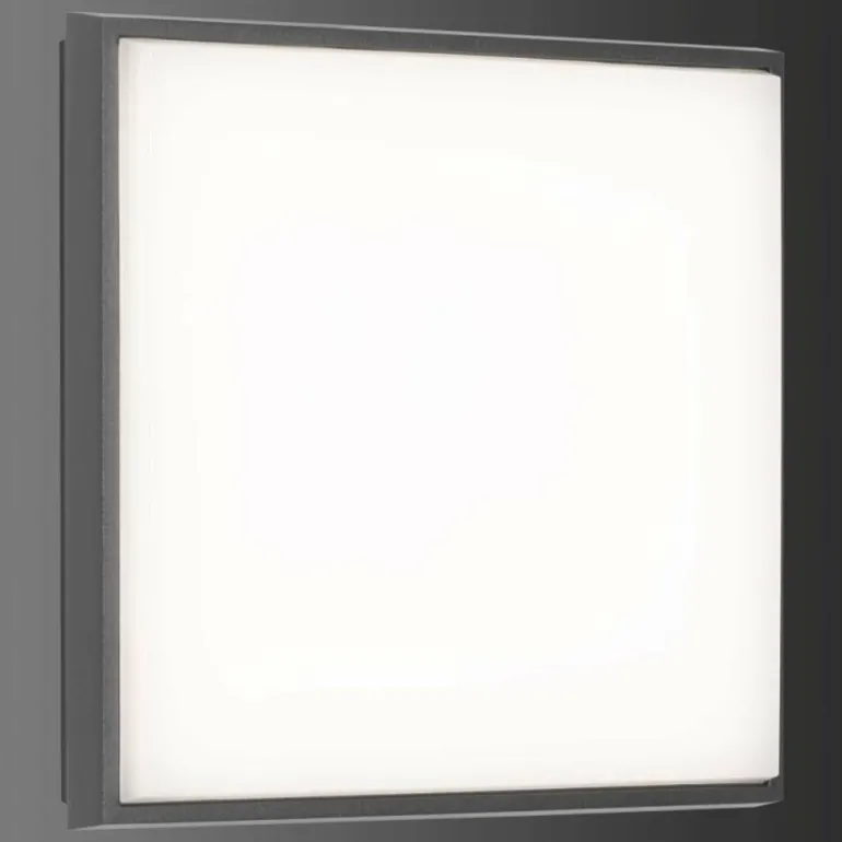 Plafonnier extérieur LCD TYP 5061 LED Noir, 1 lumière