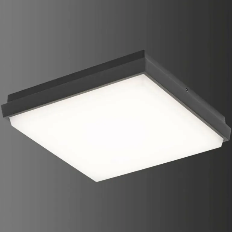 Plafonnier extérieur LCD TYP 5061 LED Noir, 1 lumière