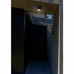 plafonnier extérieur Lutec Gemini LED Anthracite, 1 lumière