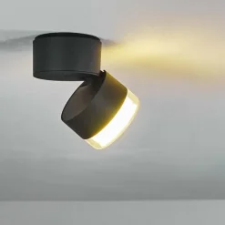 plafonnier extérieur Papagayos LED Anthracite, Blanc, 1 lumière, Changeur de couleurs