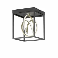Luminaires Fischer & Honsel Éclairage Led|Plafonnier Fischer & Honsel Gisi LED Noir, 1 lumière, Télécommandes