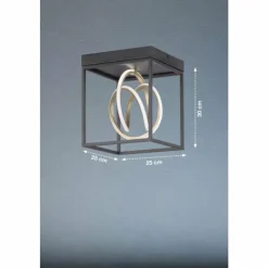 Luminaires Fischer & Honsel Éclairage Led|Plafonnier Fischer & Honsel Gisi LED Noir, 1 lumière, Télécommandes