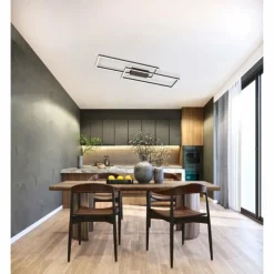 Luminaires Fischer & Honsel Éclairage Led|Plafonnier Fischer & Honsel Seth LED Noir, 1 lumière, Télécommandes