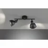 Luminaires Fischer & Honsel Plafonniers|Plafonnier Fischer-Honsel Speedy Noir, 2 lumières