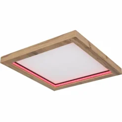 Luminaires Globo Lighting Éclairage Led|Plafonnier Globo BRANZA LED Noir, 1 lumière, Télécommandes