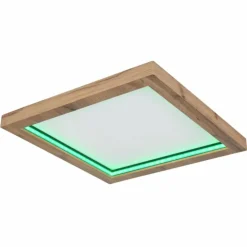 Luminaires Globo Lighting Éclairage Led|Plafonnier Globo BRANZA LED Noir, 1 lumière, Télécommandes