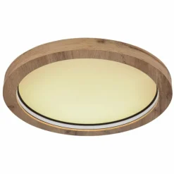 Luminaires Globo Lighting Éclairage Led|Plafonnier Globo BRANZA LED Noir, 1 lumière, Télécommandes