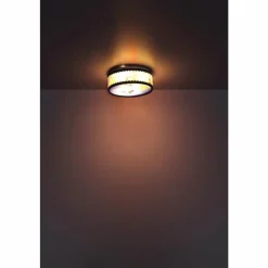 Luminaires Globo Lighting Plafonniers|Plafonnier Globo DEULOR Multicolore, 2 lumières