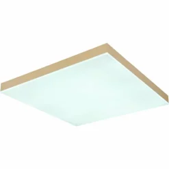 Luminaires Globo Lighting Éclairage Led|Plafonnier Globo DORO LED Blanc, 1 lumière