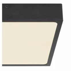 Luminaires Globo Lighting Éclairage Led|Plafonnier Globo ECHO LED Noir, 1 lumière