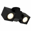 Luminaires Globo Lighting Spots Et Projecteurs|Plafonnier Globo ERIN Noir, 2 lumières