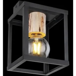 Luminaires Globo Lighting Plafonniers|Plafonnier Globo HAGAR Noir, 1 lumière