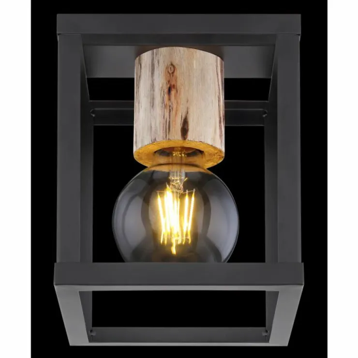 Luminaires Globo Lighting Plafonniers|Plafonnier Globo HAGAR Noir, 1 lumière