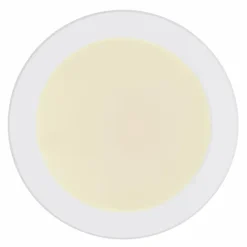Luminaires Globo Lighting Éclairage Led|Plafonnier Globo LASSE LED Blanc, 1 lumière