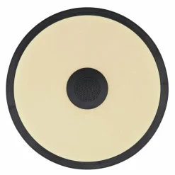 Luminaires Globo Lighting Éclairage Led|Plafonnier Globo RAFFY LED Noir, Blanc, 1 lumière, Télécommandes, Changeur de couleurs