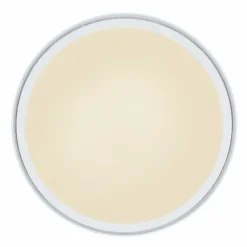 Luminaires Globo Lighting Éclairage Led|Plafonnier Globo SAMU LED Blanc, 1 lumière, Télécommandes, Changeur de couleurs