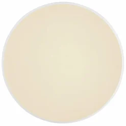 Luminaires Globo Lighting Éclairage Led|Plafonnier Globo SONNY LED Argenté, Blanc, 1 lumière, Télécommandes